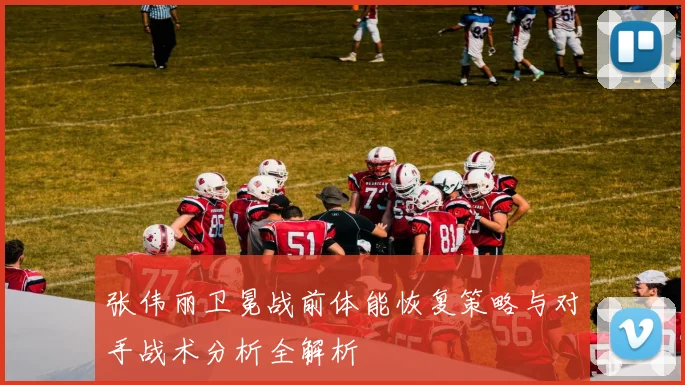 张伟丽卫冕战前体能恢复策略与对手战术分析全解析